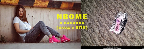 индика Дмитров